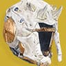 Skull of Dire Ahamkara icon
