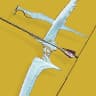 Wish-Ender icon
