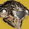 Dawn Chorus icon